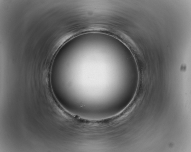 X0000102341177200808011133