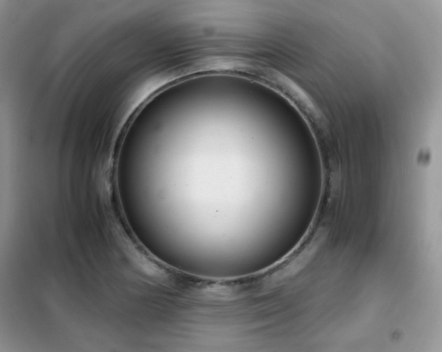 X0000102341178200808011133