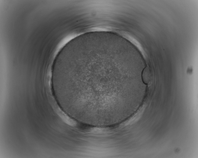 X0000102341179200808011133