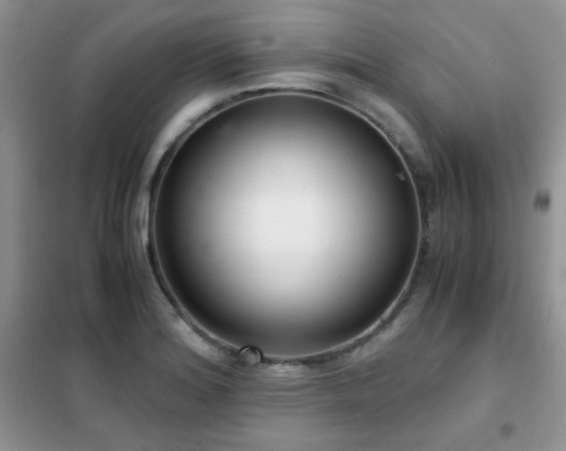 X0000102341180200808011133