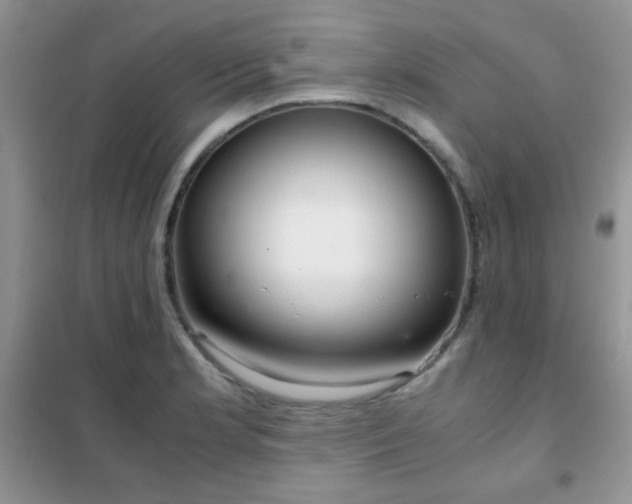 X0000102341181200808011133