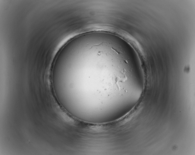 X0000102341182200808011133