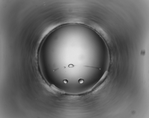 X0000102341184200808011133