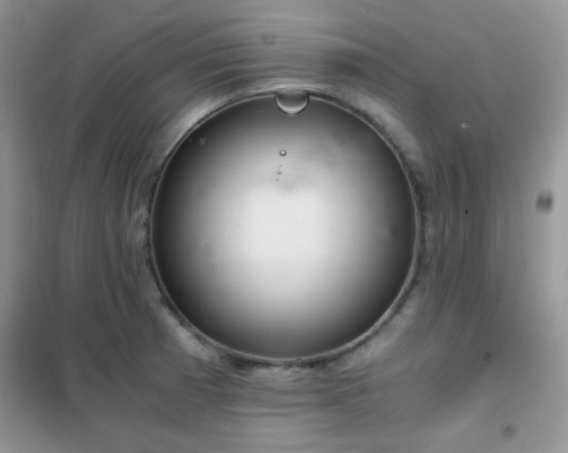 X0000102341185200808011133