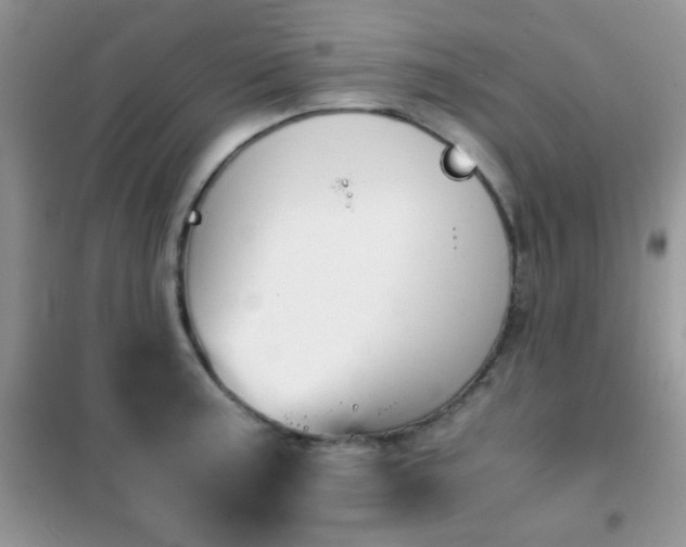 X0000102341187200808011133