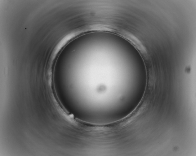 X0000102341188200808011133