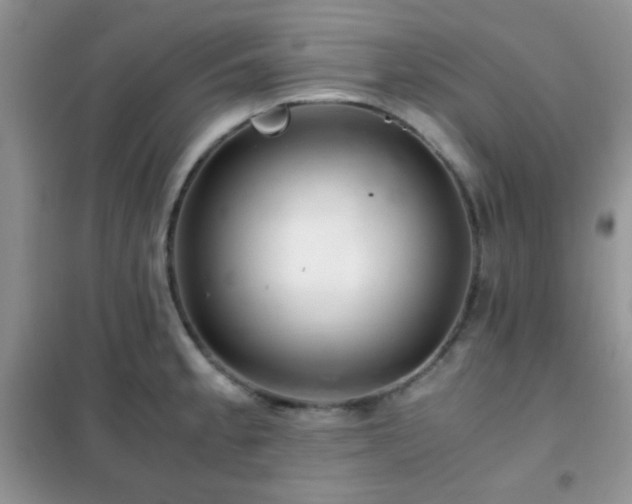 X0000102341189200808011133