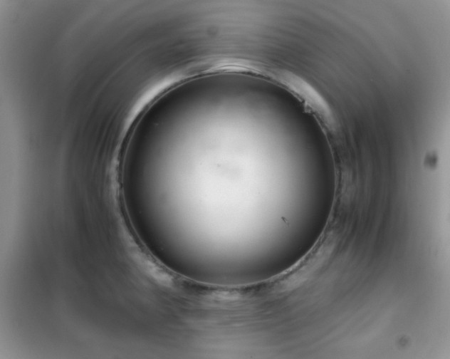 X0000102341190200808011133