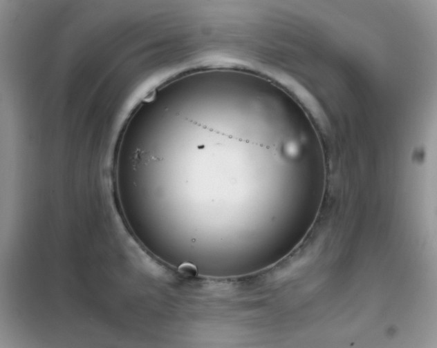 X0000102341191200808011133