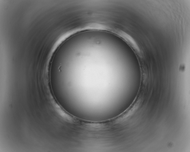 X0000102341192200808011133