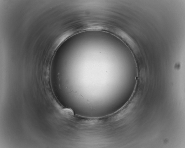 X0000102341193200808011133