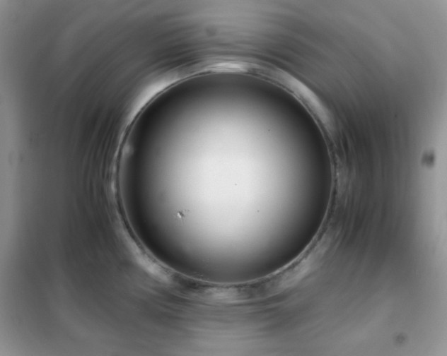 X0000102341194200808011133