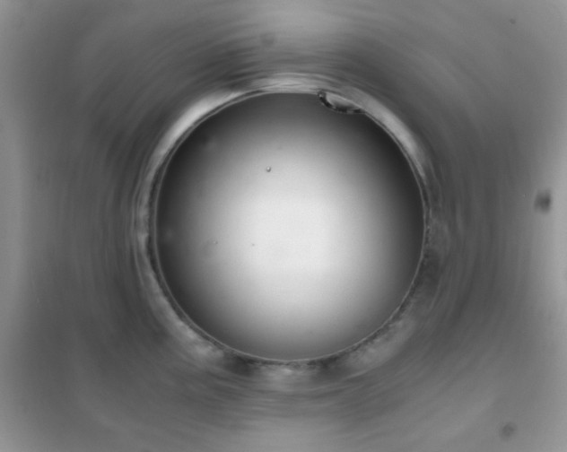 X0000102341195200808011133