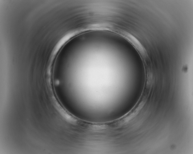 X0000102341196200808011133