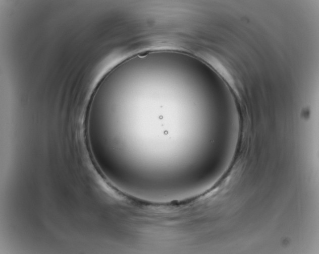 X0000102341197200808011133