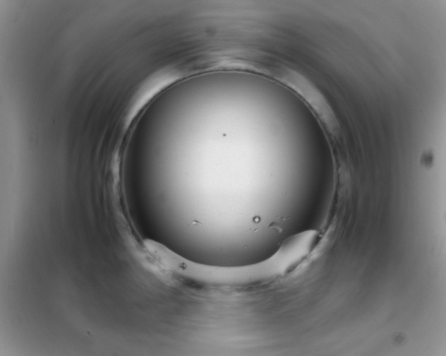 X0000102341198200808011133