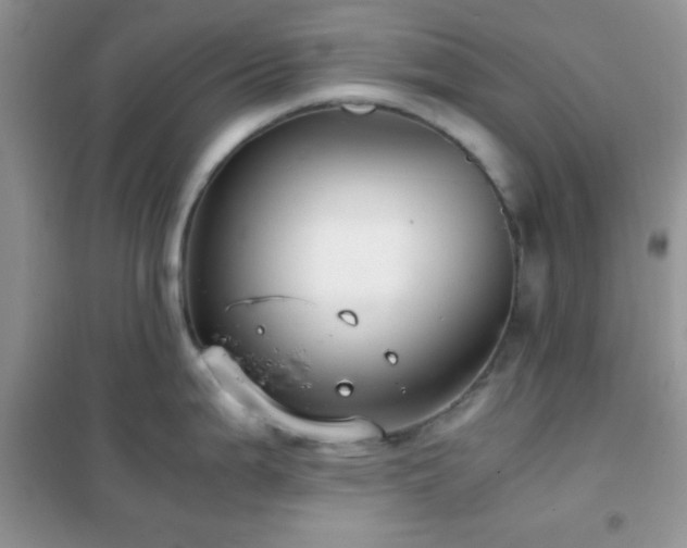 X0000102341199200808011133