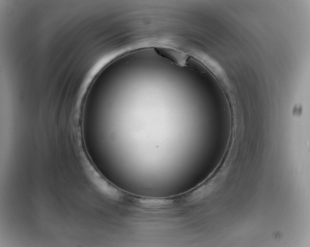 X0000102341200200808011133