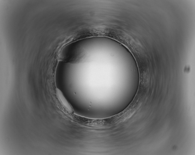 X0000102341201200808011132