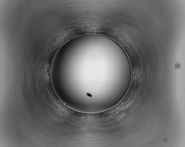 X0000102341202200808011132