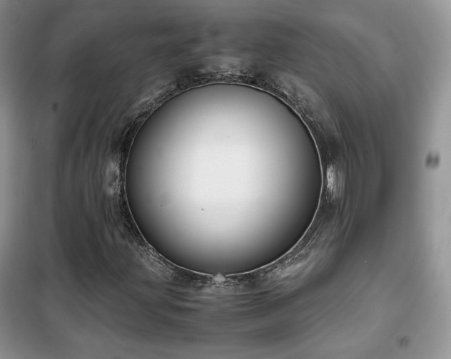 X0000102341203200808011132