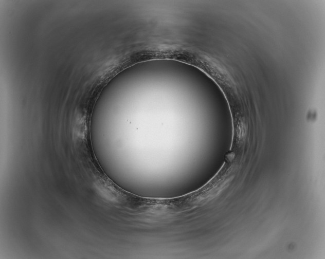 X0000102341204200808011132