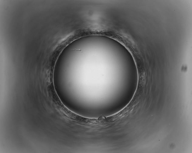 X0000102341205200808011132