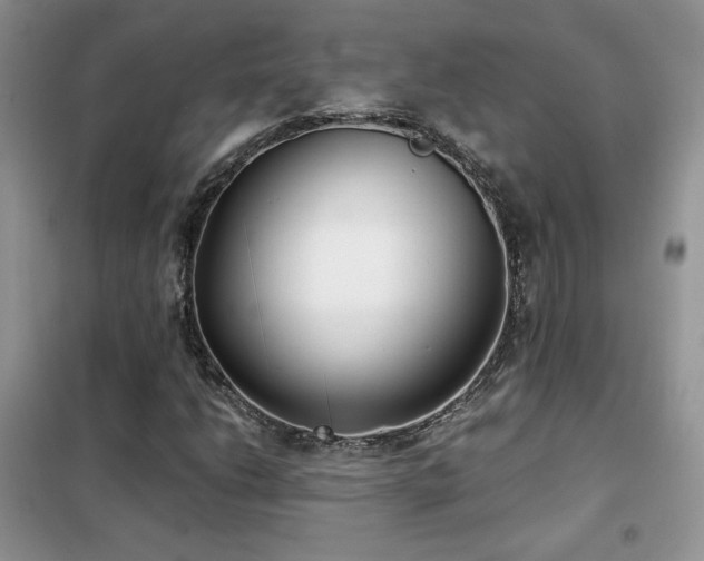 X0000102341206200808011132