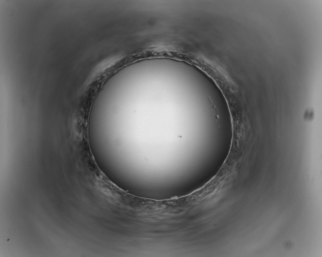 X0000102341207200808011132