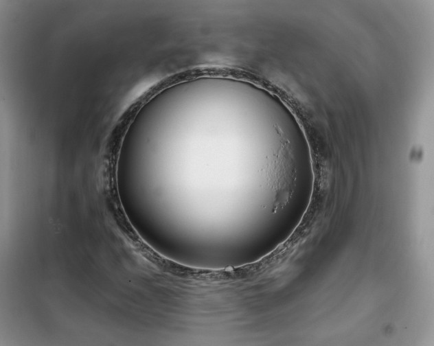 X0000102341208200808011132