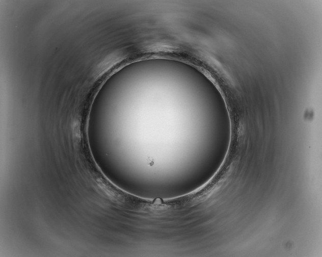 X0000102341209200808011132