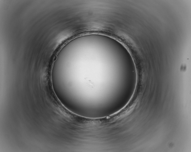 X0000102341210200808011132