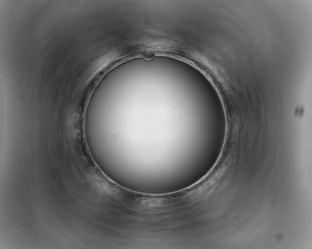 X0000102341211200808011132