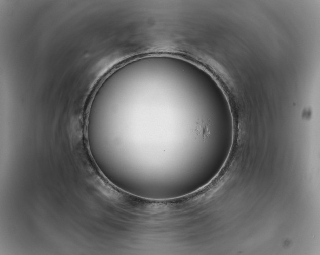 X0000102341212200808011132