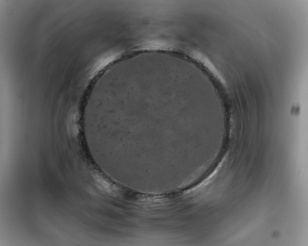 X0000102341213200808011132