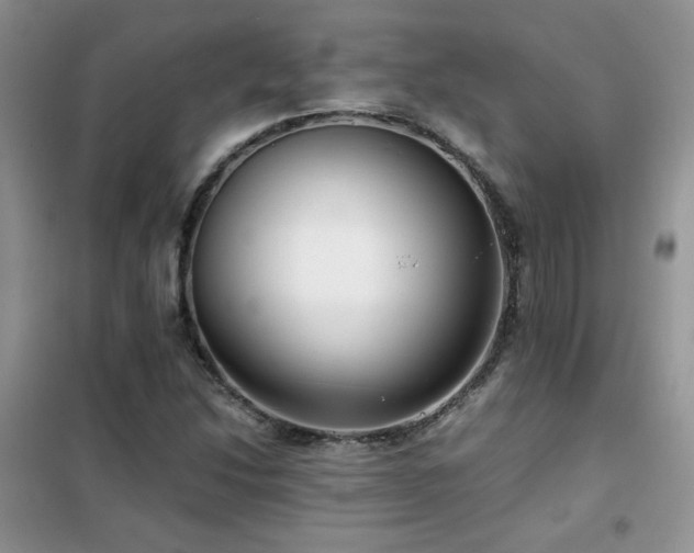 X0000102341214200808011132