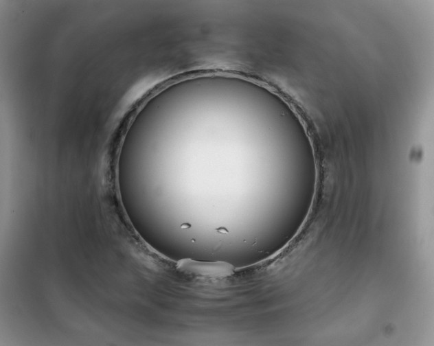 X0000102341215200808011133