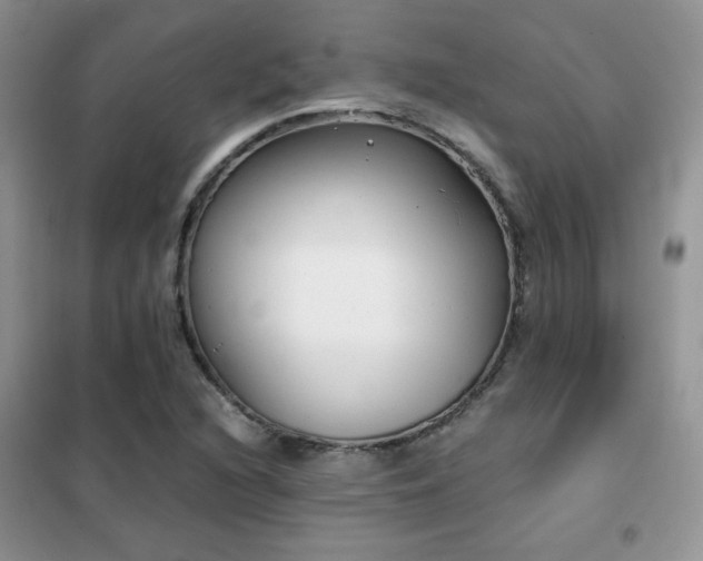 X0000102341216200808011133