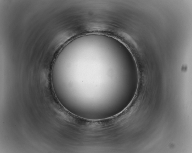 X0000102341217200808011133