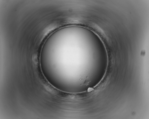 X0000102341218200808011133