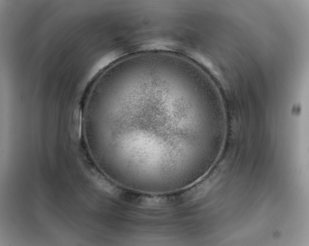 X0000102341219200808011133