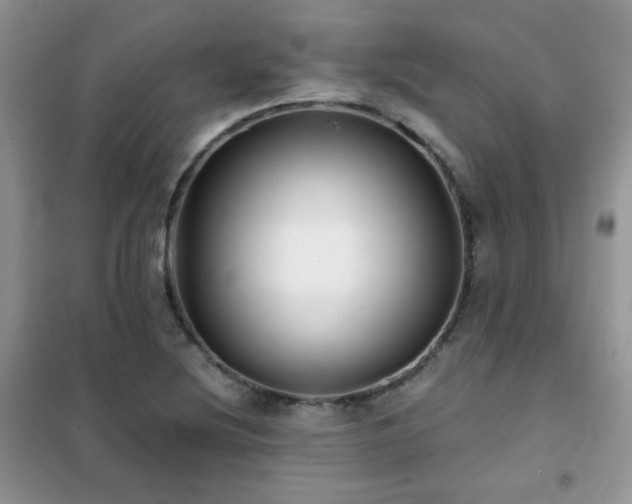 X0000102341220200808011133