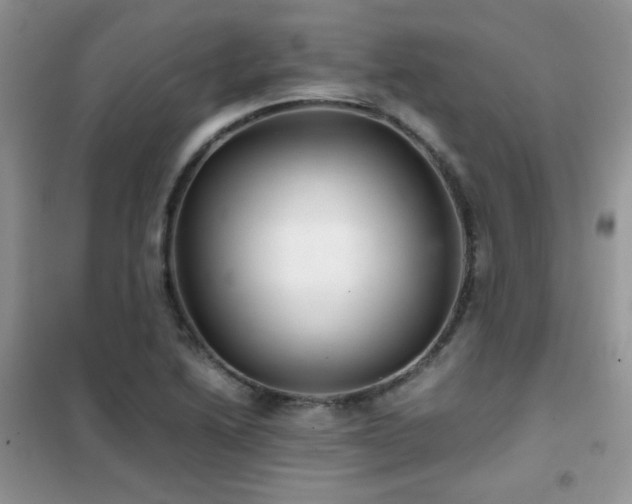 X0000102341222200808011133