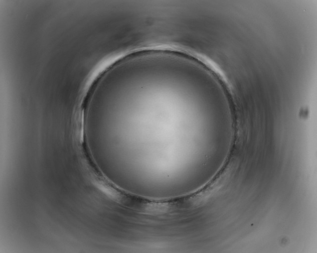 X0000102341223200808011133