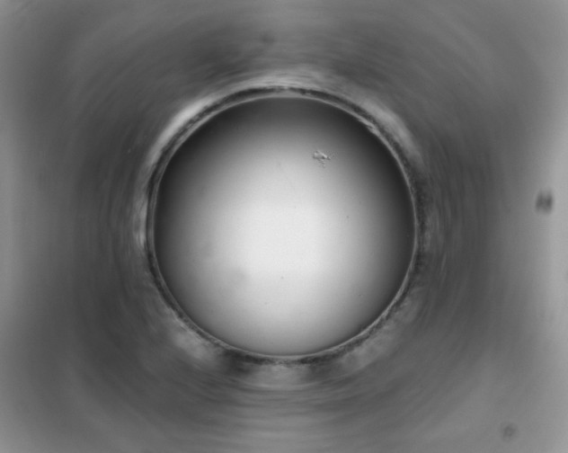 X0000102341224200808011133