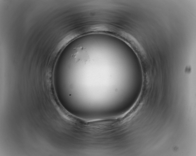 X0000102341225200808011133