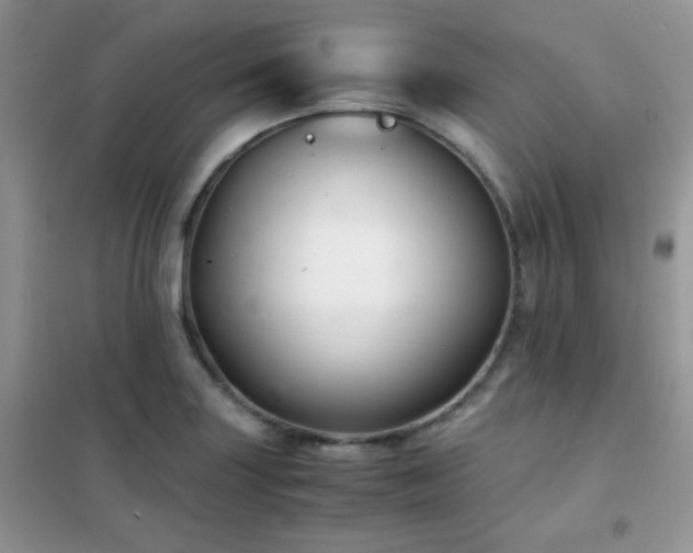 X0000102341227200808011133