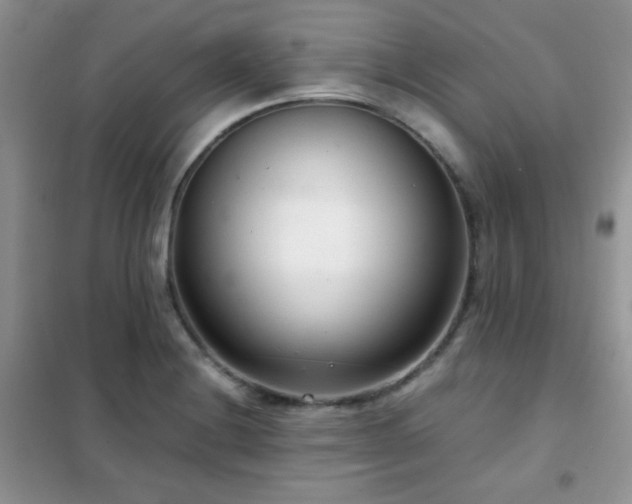 X0000102341228200808011133