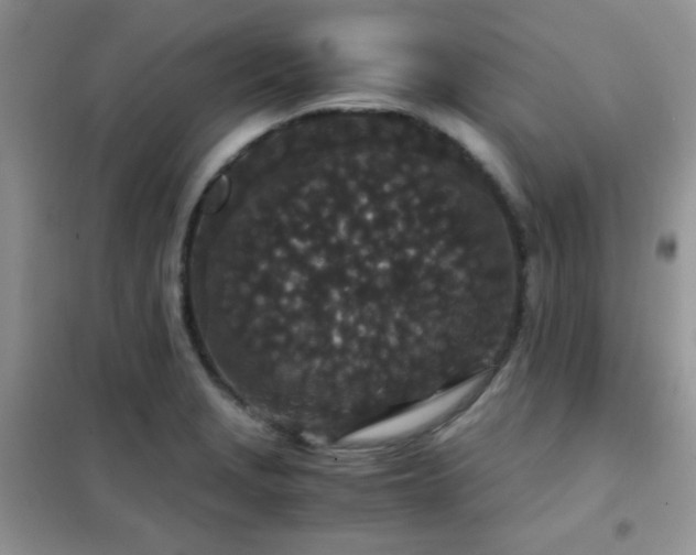 X0000102341229200808011133