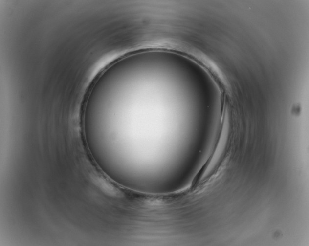 X0000102341230200808011133